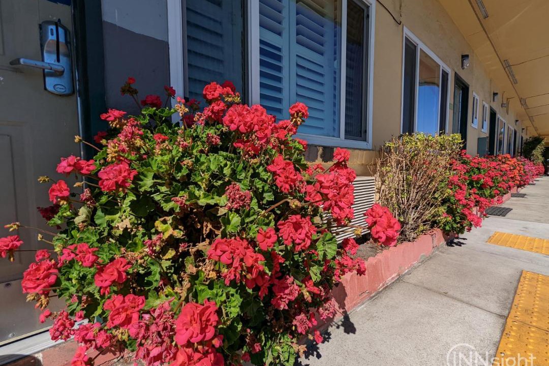 Photo of Others in South San Francisco