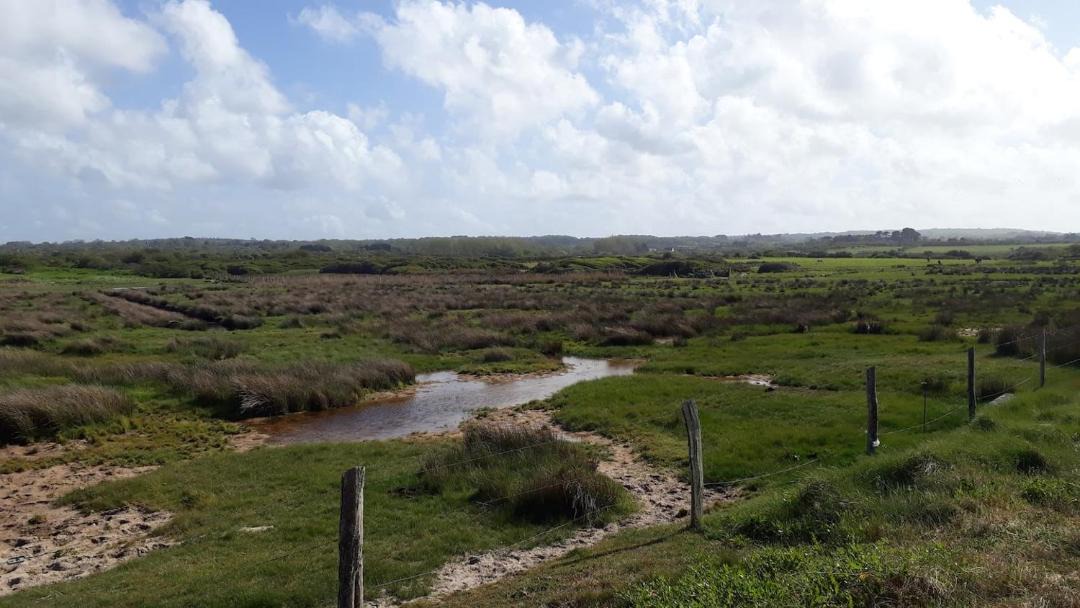 Photo of Others in Fermanville