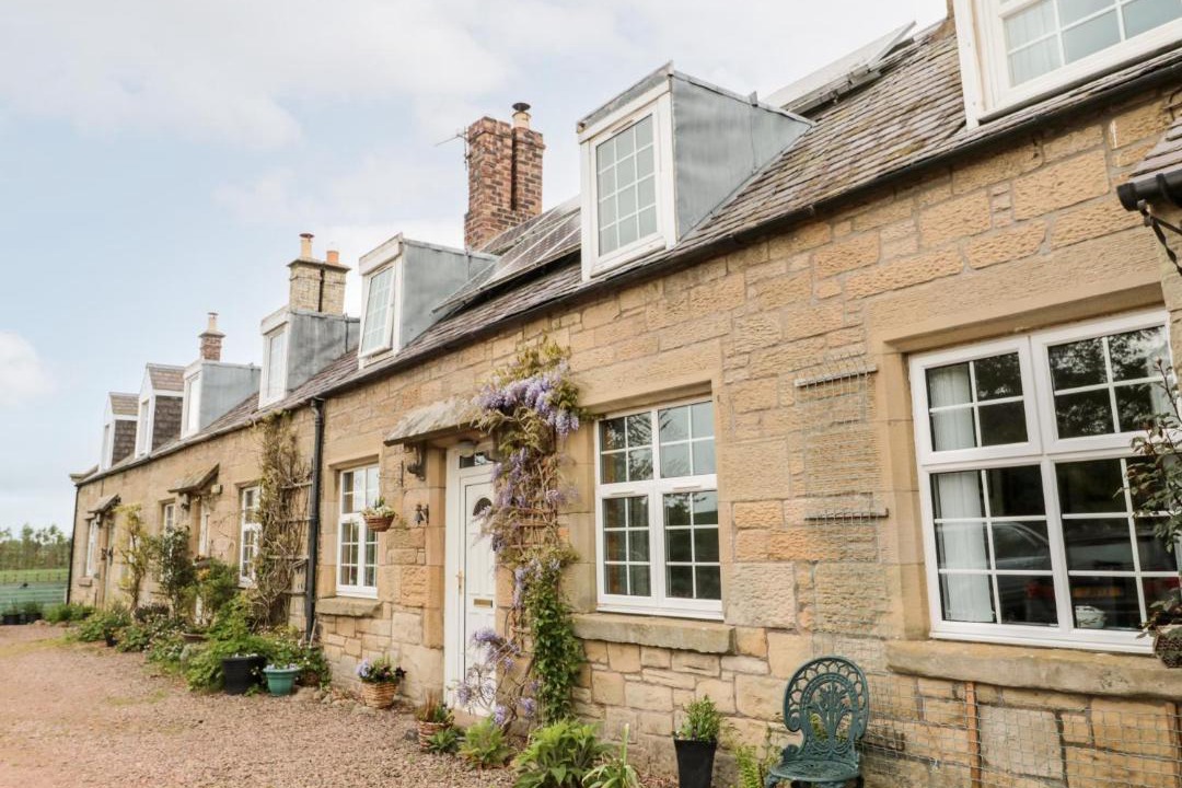 Photo of Others in Coldstream