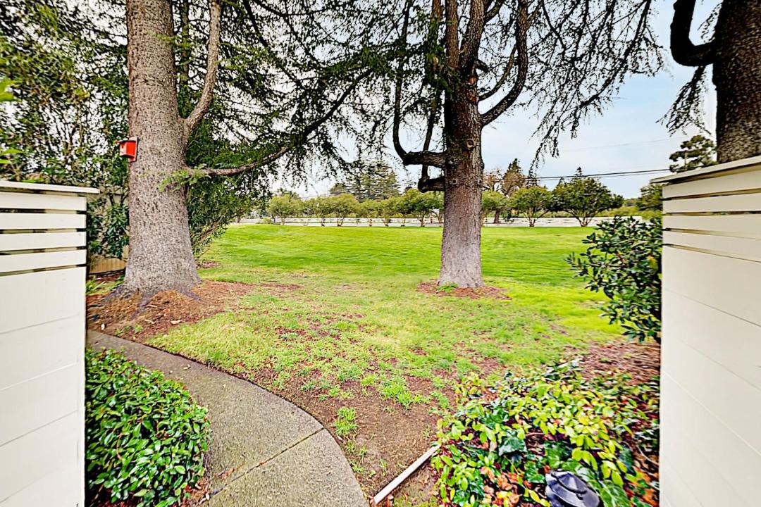 Photo of Others in Napa