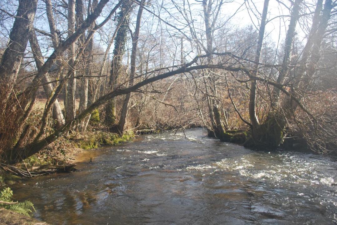 Photo of Others in Saint-Yrieix-la-Perche