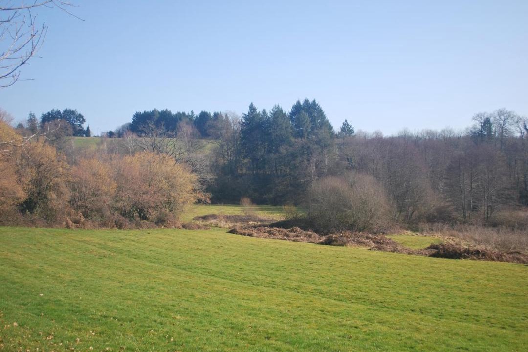 Photo of Others in Saint-Yrieix-la-Perche