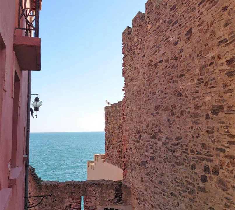 Photo of Others in Collioure