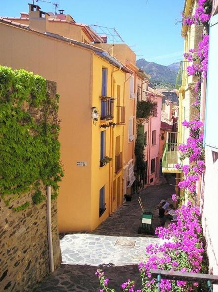 Photo of Others in Collioure