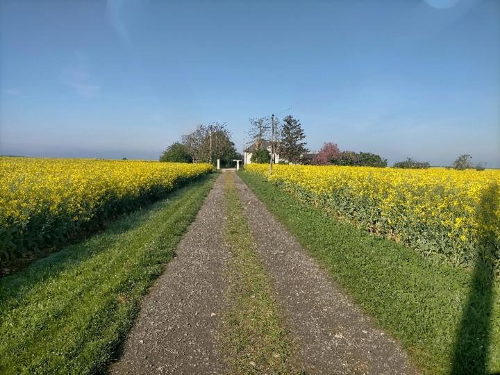 Photo of Others in Pays d'Issoudun