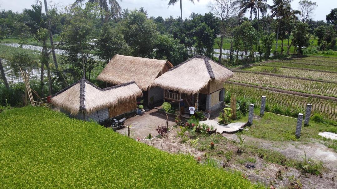 Photo of Others in Kotaraja