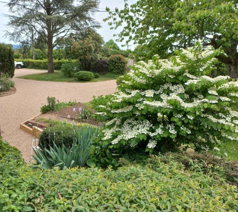 Photo of Outdoor in La Chapelle-de-Guinchay