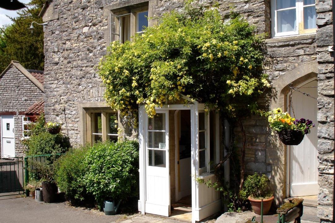 Photo of Others in Wookey