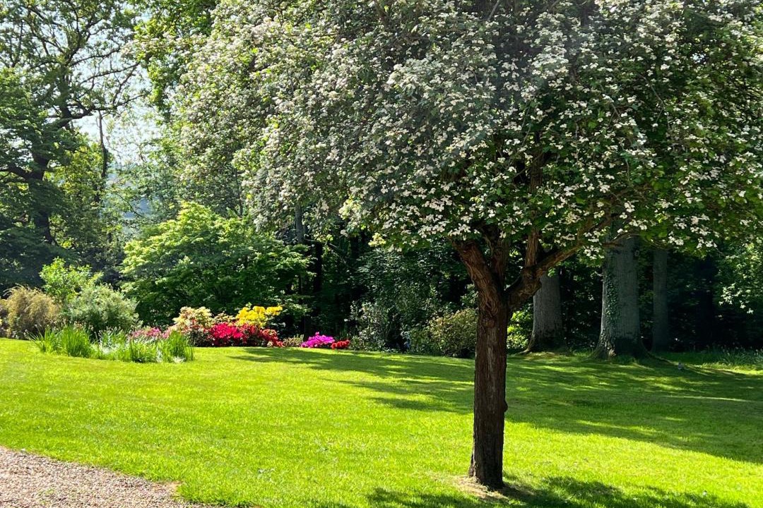 Photo of Outdoor in Cranbrook