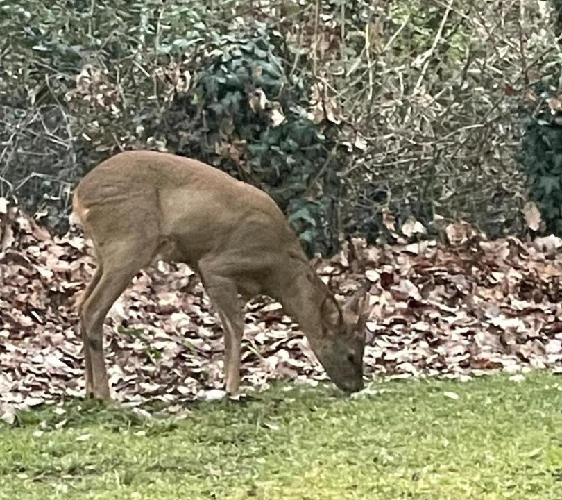 Photo of Others in La Fagette