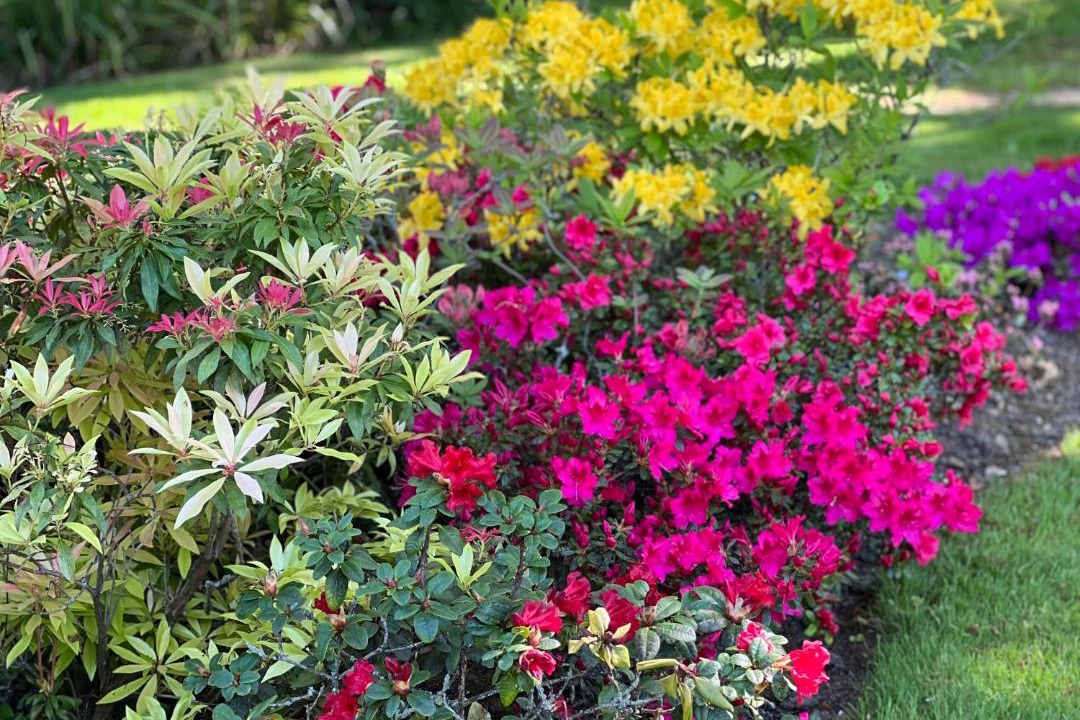 Photo of Outdoor in Cranbrook