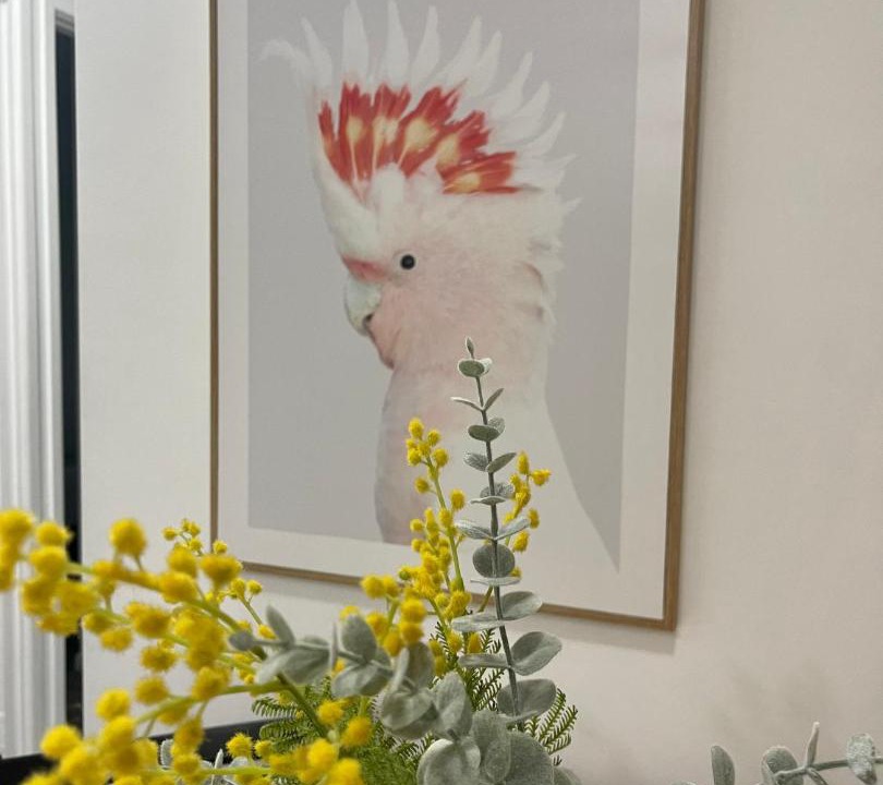 Photo of Others in Arcadia