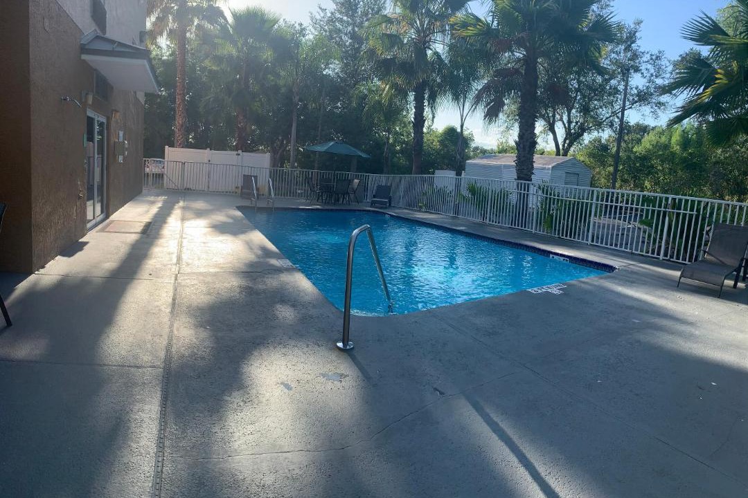 Photo of Others in Wesley Chapel