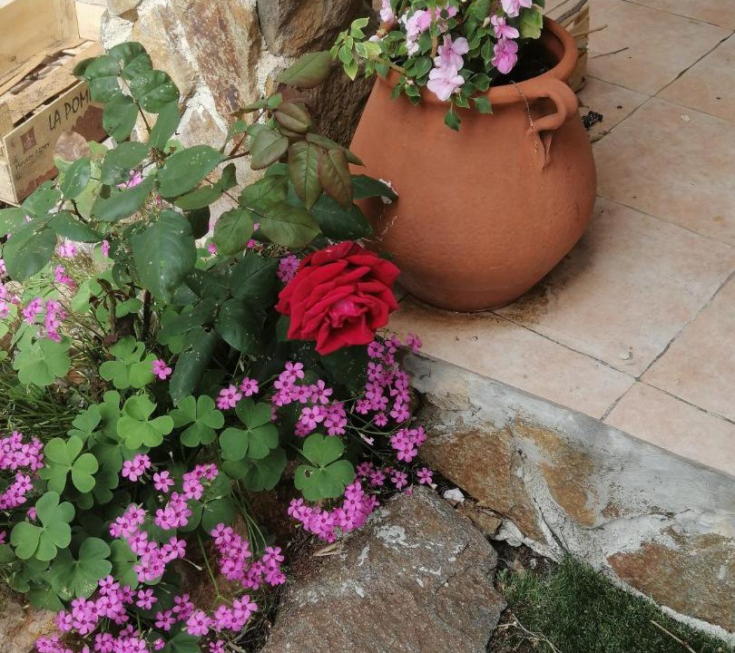 Photo of Others in La Garde