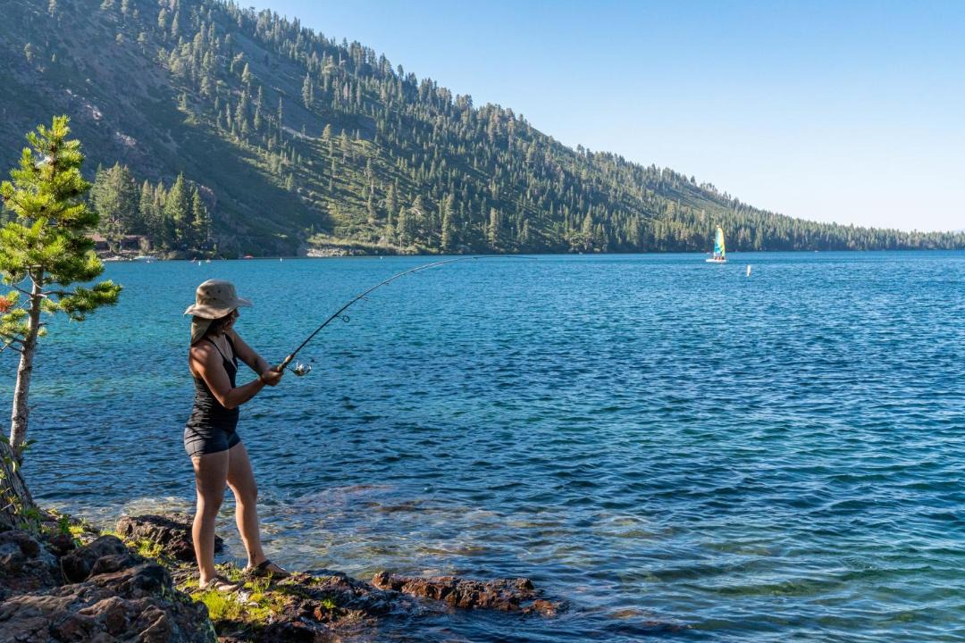Photo of Others in Alpine Meadows