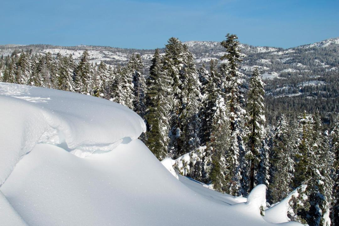 Photo of Others in Alpine Meadows