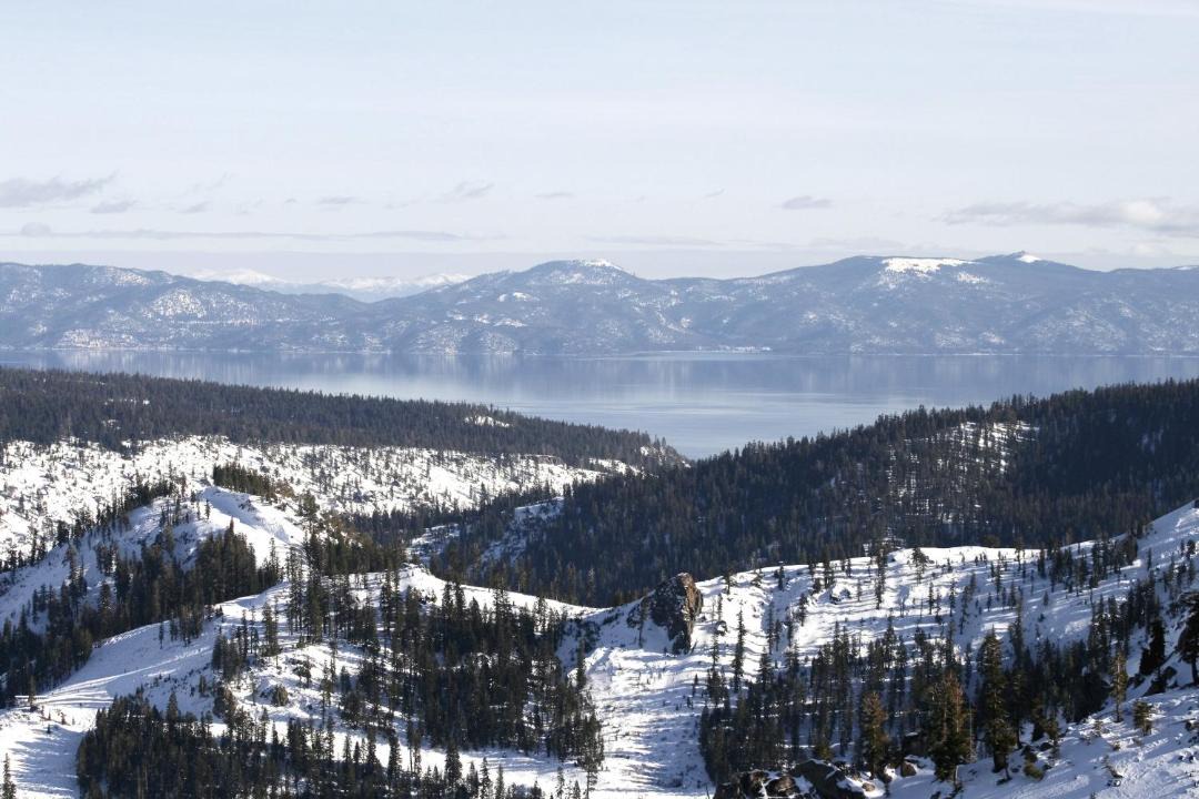 Photo of Others in Alpine Meadows