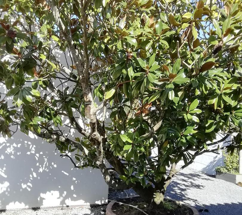 Photo of Others in Challans