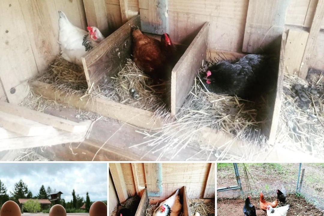 Photo of Others in Mauzac-et-Grand-Castang