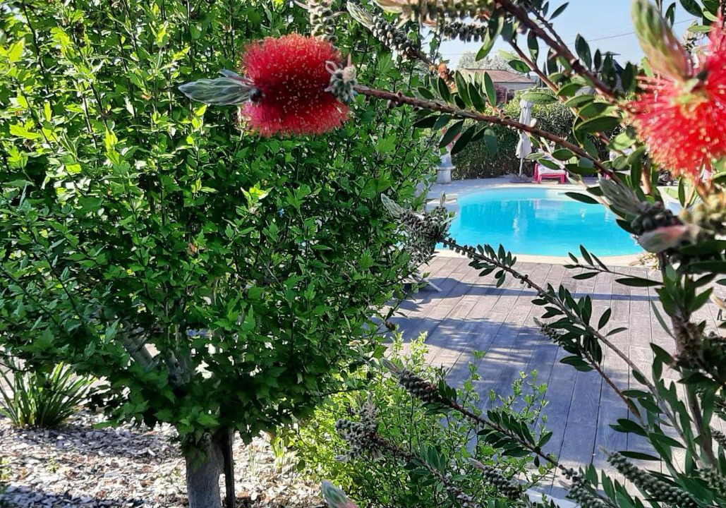 Photo of Outdoor in Rousson