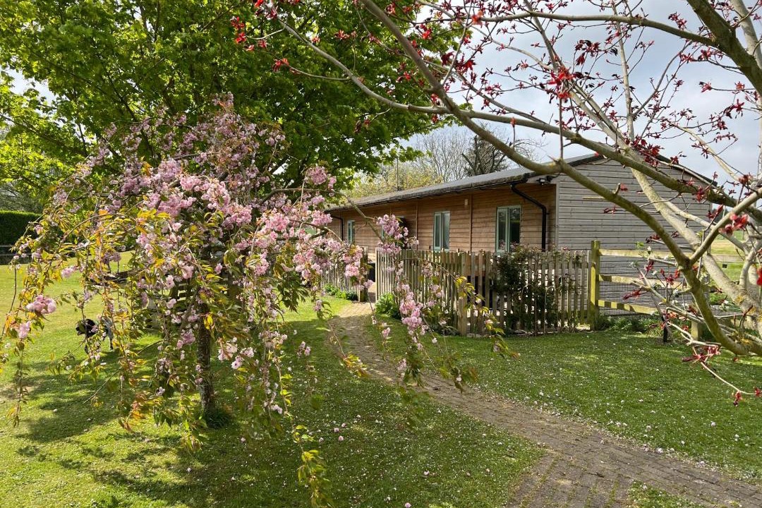 Photo of Others in Faversham