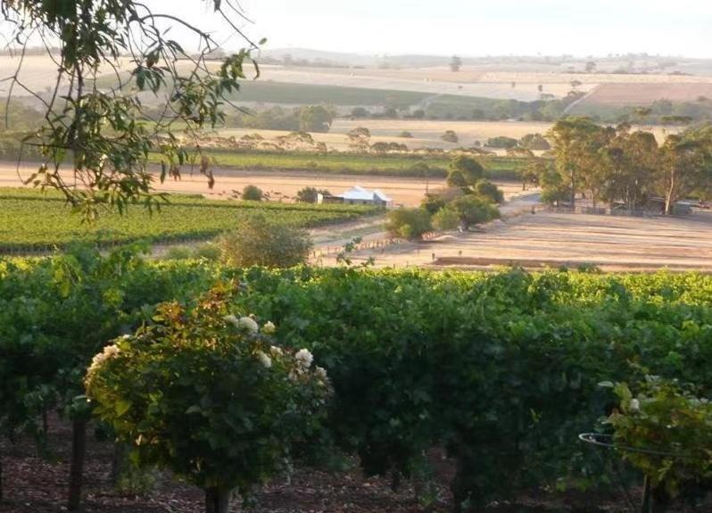 Photo of Others in Krondorf