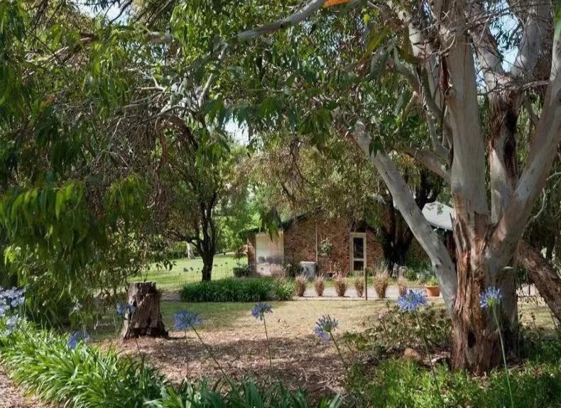 Photo of Others in Krondorf