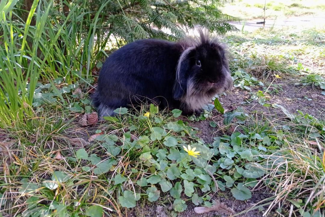 Photo of Others in Joue-les-Tours