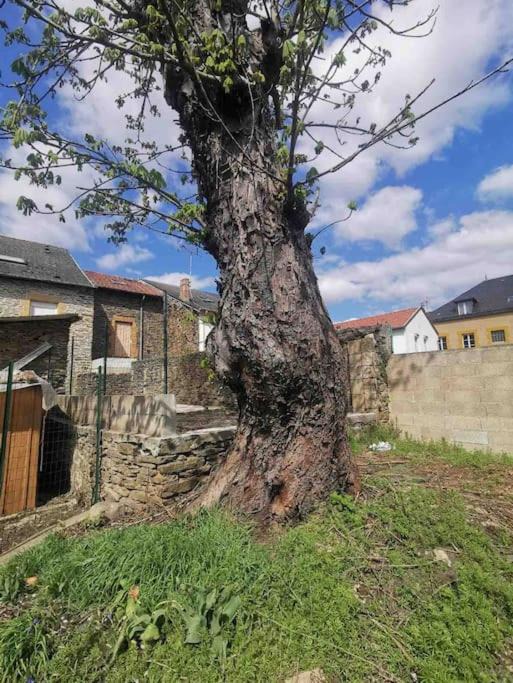 Photo of Others in Bogny-sur-Meuse