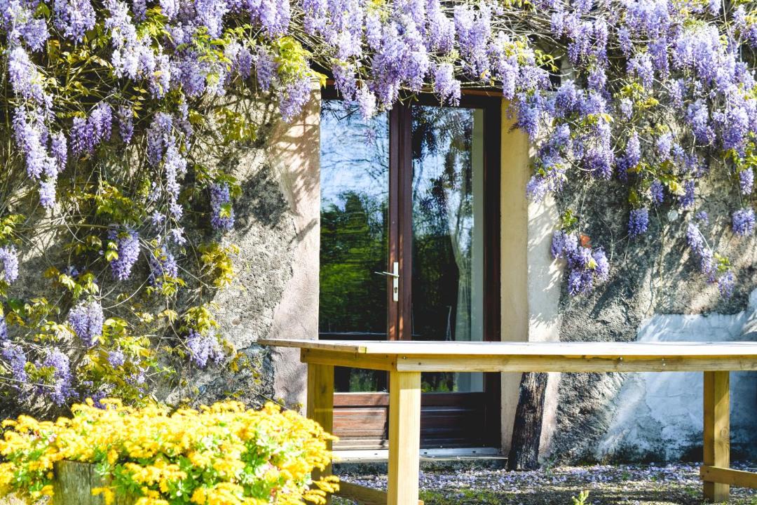 Photo of Others in Madiran