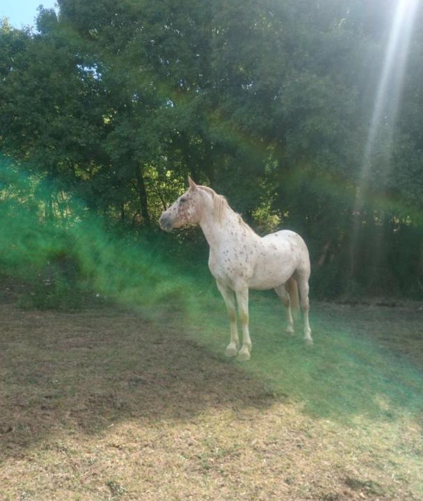 Photo of Others in Arconville