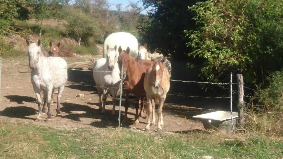 Photo of Others in Arconville