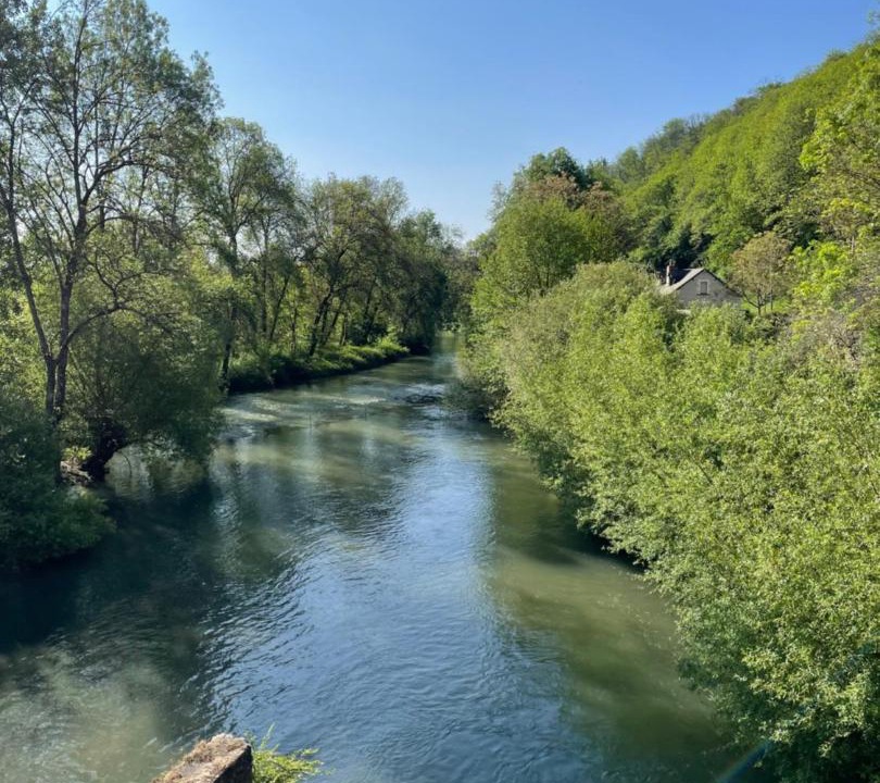 Photo of Others in Aubigne-Racan