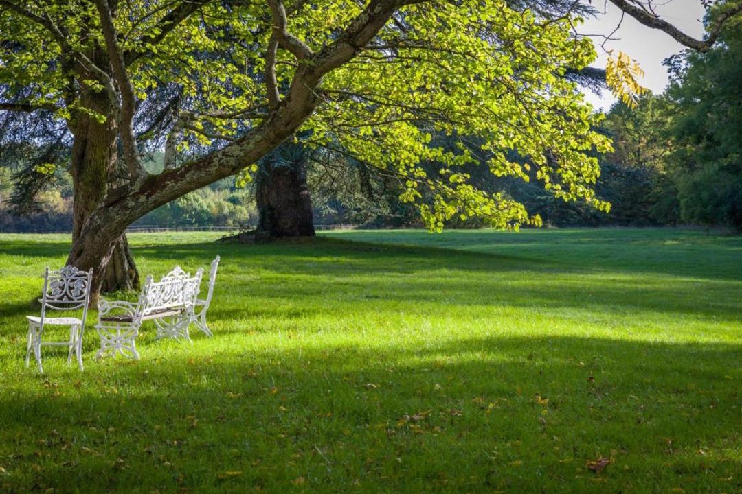 Photo of Others in Cere-la-Ronde