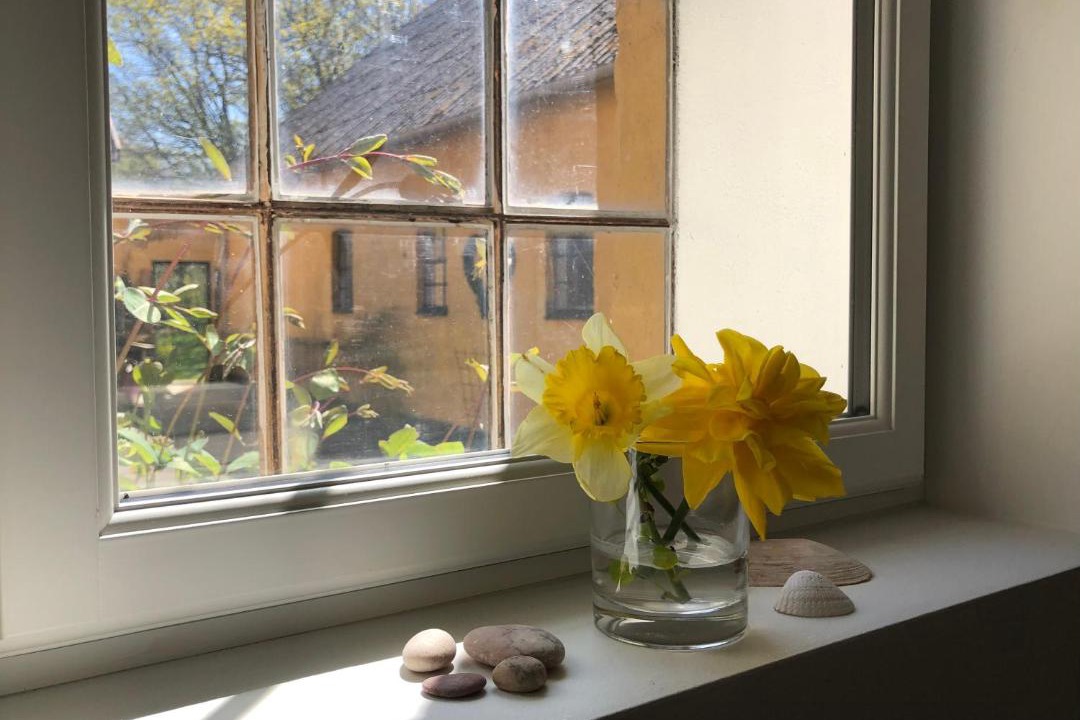 Photo of Others in Gudhjem