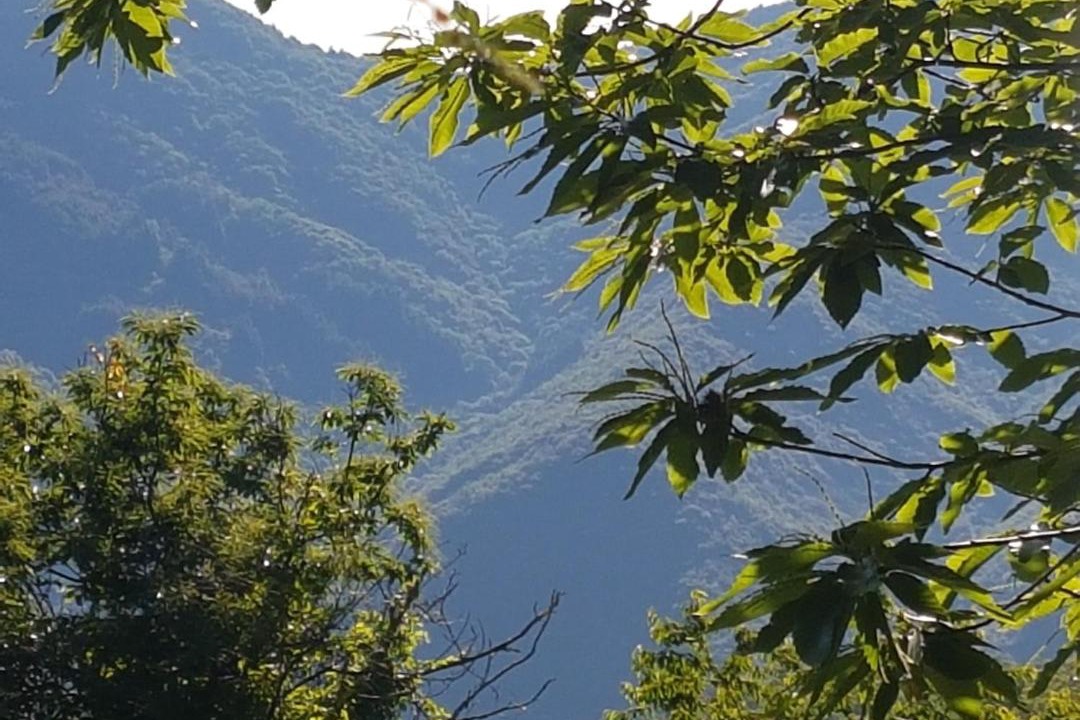 Photo of Outdoor in Beaumont