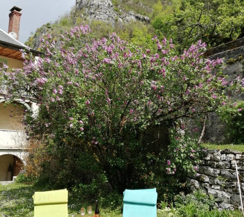 Photo of Others in Cerdon