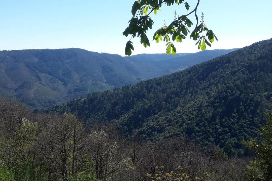 Photo of Outdoor in Beaumont