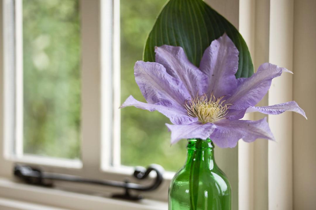 Photo of Others in Skipsea