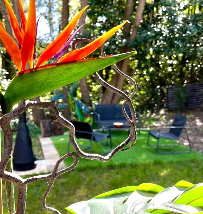 Photo of Others in Saint-Cheron