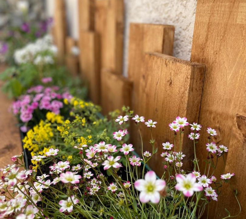Photo of Others in Courcelles-sur-Seine