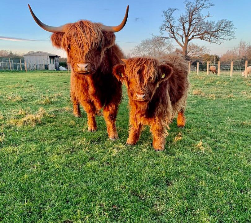 Photo of Others in Haddington