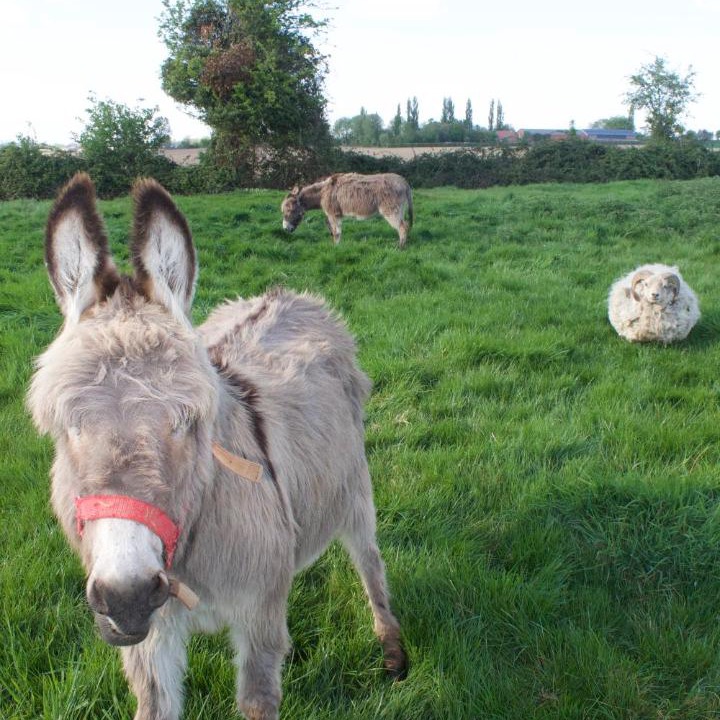 Photo of Others in Eecke