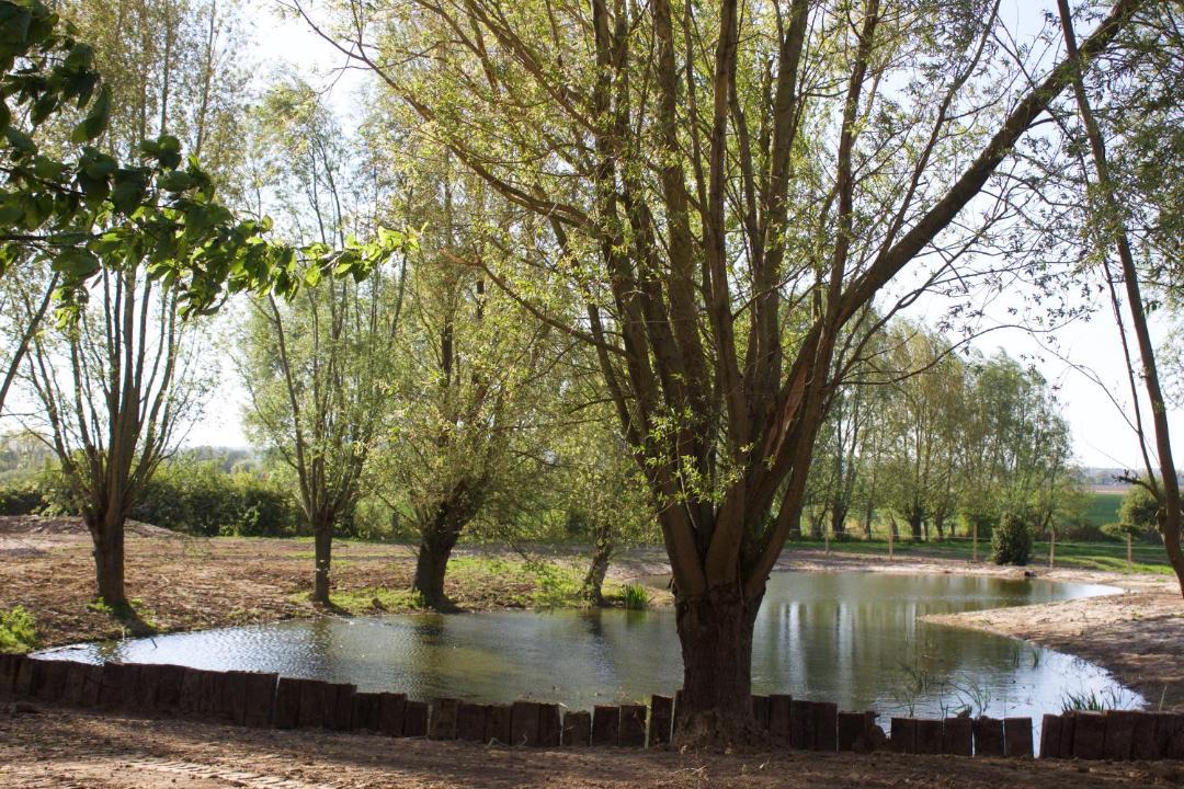 Photo of Others in Eecke