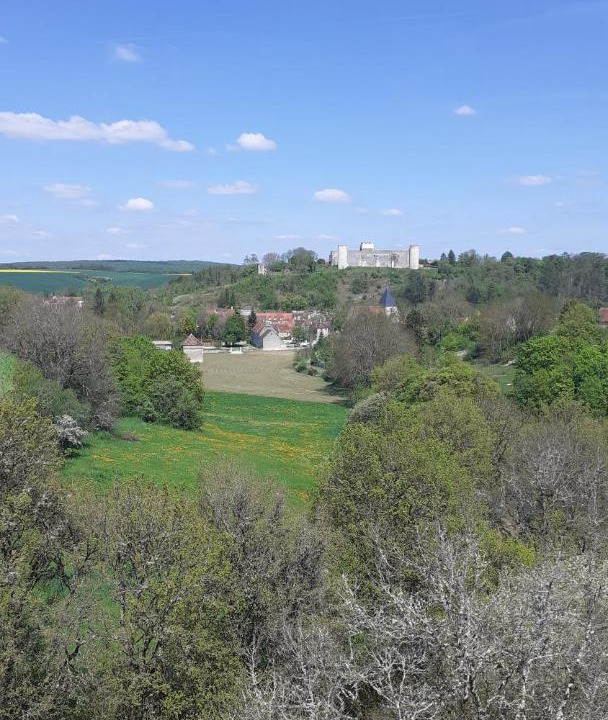 Photo of Others in Druyes-les-Belles-Fontaines