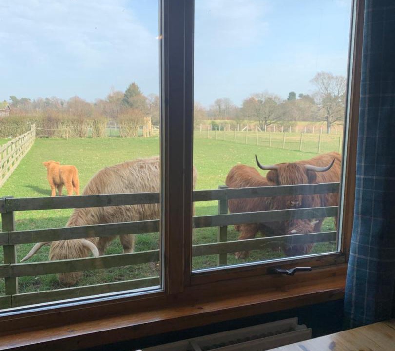 Photo of Others in Haddington