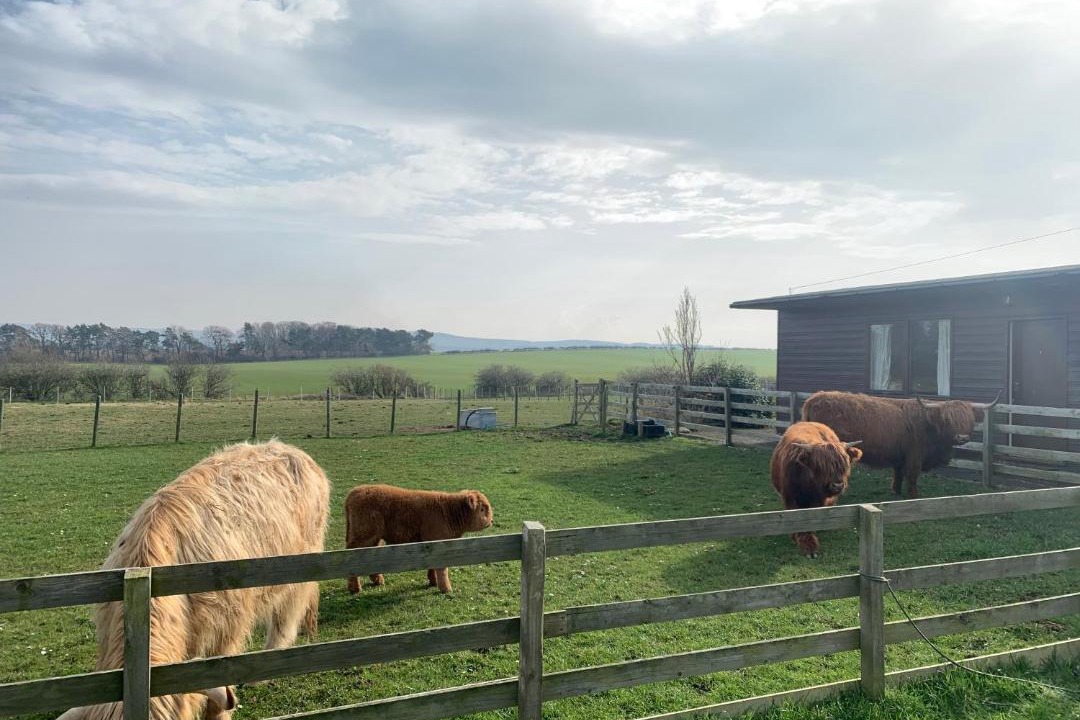 Photo of Others in Haddington