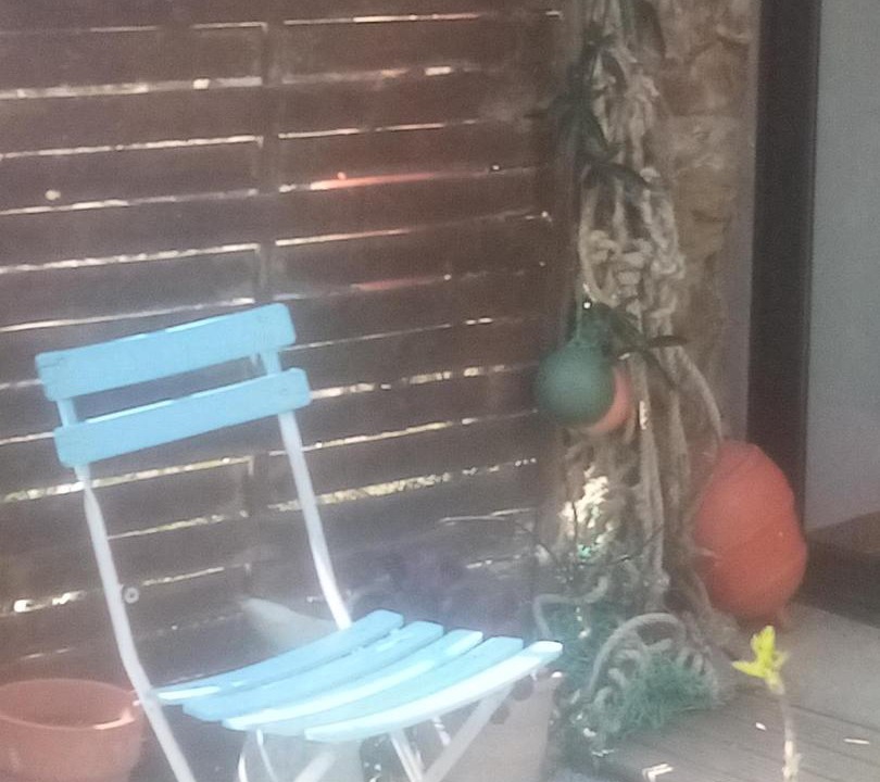 Photo of Others in Plougastel-Daoulas