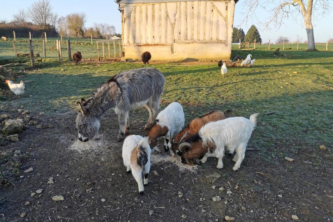 Photo of Others in Courcemont