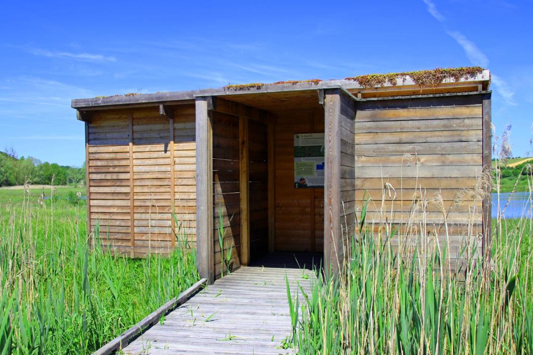 Photo of Bathroom in Andryes